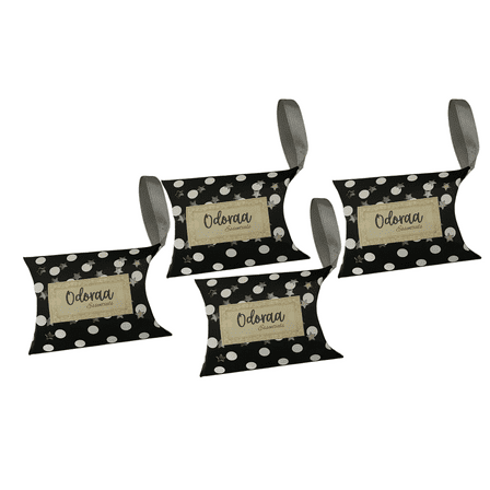 Shoe Odor Remover-Odoraa | Lemongrass Fragrance | Natural Odor Absorber for Shoes | Solar Rechargeable & Eco-Friendly | 4 packs -2pairs