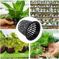 thumbnail image 4 of 20Pcs Net Pots 3 Inch Net Cups Thin Lip Hydroponics Supplies Cups Garden Slotted Mesh Net Cups Aquaponics Garden Slotted Mesh Net Pot Hydroponics Slotted Mesh Cups, 4 of 6