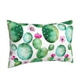 thumbnail image 2 of Naloa Cactus Plants Pillowcase, Throw Pillowcase, Wrinkle-Free, Stain-Resistant with Hidden Zipper for Bedroom Sofa - 14"x20", 2 of 9