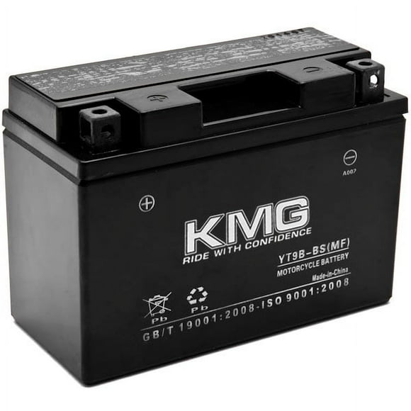 Yamaha Raptor 700 Battery