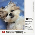 365 Dogs PageADay Calendar 2021