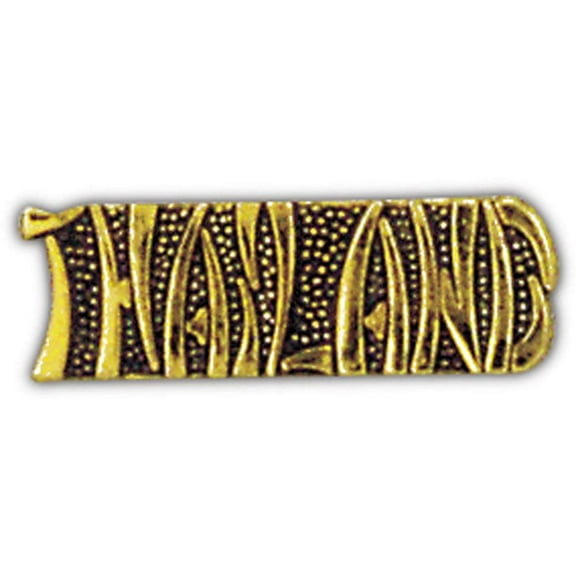 Eagle Emblems P15303 Pin - Vietnam, Script Thailand - 1.25 in.