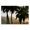 Sunlit Palms Mountains, variant on Stupell Industries Coastal Sunlit Palm Trees Mountain Peaks Gray Floating Frame Canvas Art, 21 x 17, by Dennis Frates