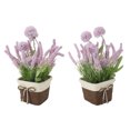 thumbnail image 1 of Premium Plastic Realistics Artificial Potted Plant, Simple Style Design Long Lasting Freshness  Potted Plants for  Decor, 1 of 8