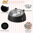 thumbnail image 3 of Prdigy 2PCS Tilted Pet Cat Bowls, Stainless Steel Puppy Cats Food Drink Water Feeder, with Non-slip Base Neck Protection Dish Bowl, 3 of 7