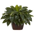 thumbnail image 1 of Fougère Géante avec Jardinière Décorative, 1 of 1