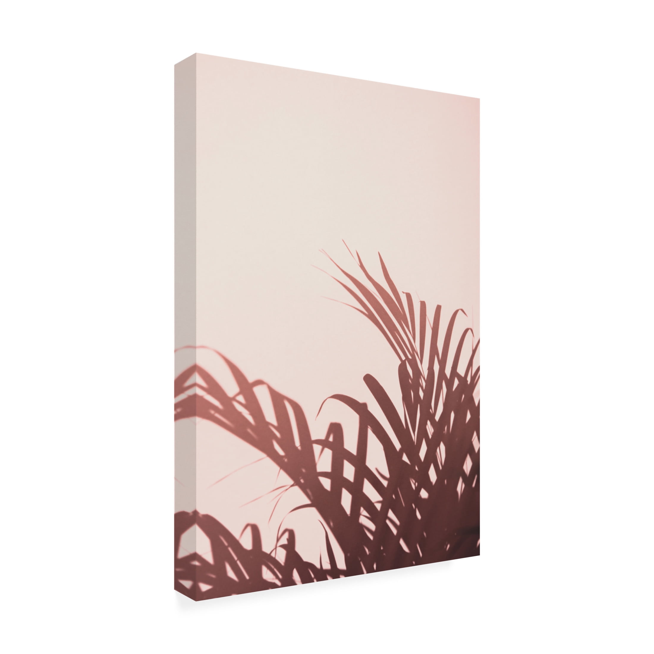 Trademark Fine Art Pictufy Studio Palm Leaves 2 Canvas Wall Art