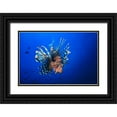 thumbnail image 1 of Gabriel, Barathieu 18x13 Black Ornate Wood Framed with Double Matting Museum Art Print Titled - Lionfish, 1 of 4