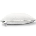 thumbnail image 1 of Oreillers en Plumes de Coton Biologique Blanc, 1 of 6