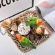 thumbnail image 5 of Bird Toys, Parakeet Toys Bird Foraging Toys Grass Mat Climbing Wall for Parakeet,Parrot,Cockatiel,Co, 5 of 5