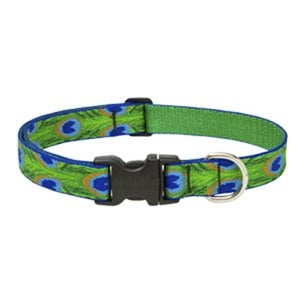 Dog Collar, Adjustable, Tail Feather, 1 x 12 to 20-In. 32652
