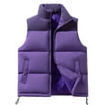 thumbnail image 2 of dzxyzu Men's Winter Quilted Vest Padded Puffer Jacket Warm Casual Waistcoat Outerwear Purple, 2 of 4