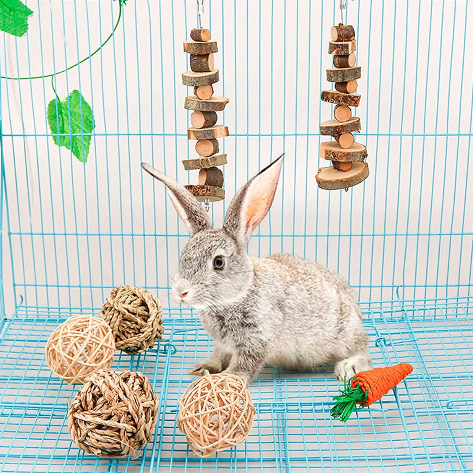 DOPI 8Pcs/Set Molar Toy Long Lifespan Relieve Anxiety Wood Hamster Molar Tooth Cleaning Toy Kit for Chinchillas