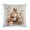 Pattern-1, variant on 16"x16" Cushion Case Squirrel with Flowers Pine Cones Watercolor Style Farmhouse Pillow Cover Fall Squirrel Pumpkin Patio Furniture Pillows for Sofa Bedroom Living Room