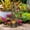 Brown + Resin, variant on 3-Tier Cascading Bird Bath Fountain with Birdhouse, LED Lights, Rustic Tree Trunk Design for Garden Patio Deck, Brown Resin 34.75 H