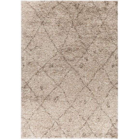Well Woven Madison Shag Trellis Modern Area Rugs, Brown