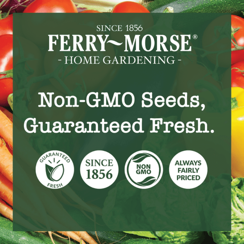 Ferry-Morse Easy Grow Garden Seed Variety Pack, 10 Pack – Organic Vegetable and Flower Seeds for Raised Beds and Container Gardening