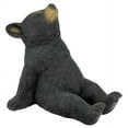 thumbnail image 2 of Design Toscano Catching Rays Bear Cub Statue, 2 of 7
