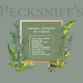 thumbnail image 5 of Pecksniff's Aroma:Therapy De-Stress Shower Gel – Luxurious Moisturizing Bath & Body Cleanser, 1000 ml/33.8 fl oz Bottle, 5 of 11