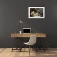 thumbnail image 3 of Titian 24x17 White Modern Wood Framed Museum Art Print Titled - Danae, 3 of 4