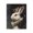 Regal Crowned Rabbit Portrait, variant on Stupell Industries Traditional Crowned Sheep Portrait Black Framed Giclee Art, 11 x 14, by Svetlana Aleynikova