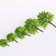 thumbnail image 2 of Inteprter Planta en miniatura de plástico de 20 piezas, apariencia realista, ecológica, duradera, para interior Arboles Artificiales, 2 of 6
