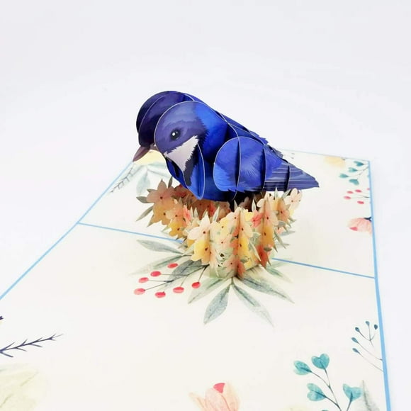 POP CARD EXPRESS Blue Jay Bird Pop Up Birthday Card - Happy Birthday Pop Up Card for son, daughter, wife, friends, Nature, Wild Animal, Bird lovers | Pop Card Express