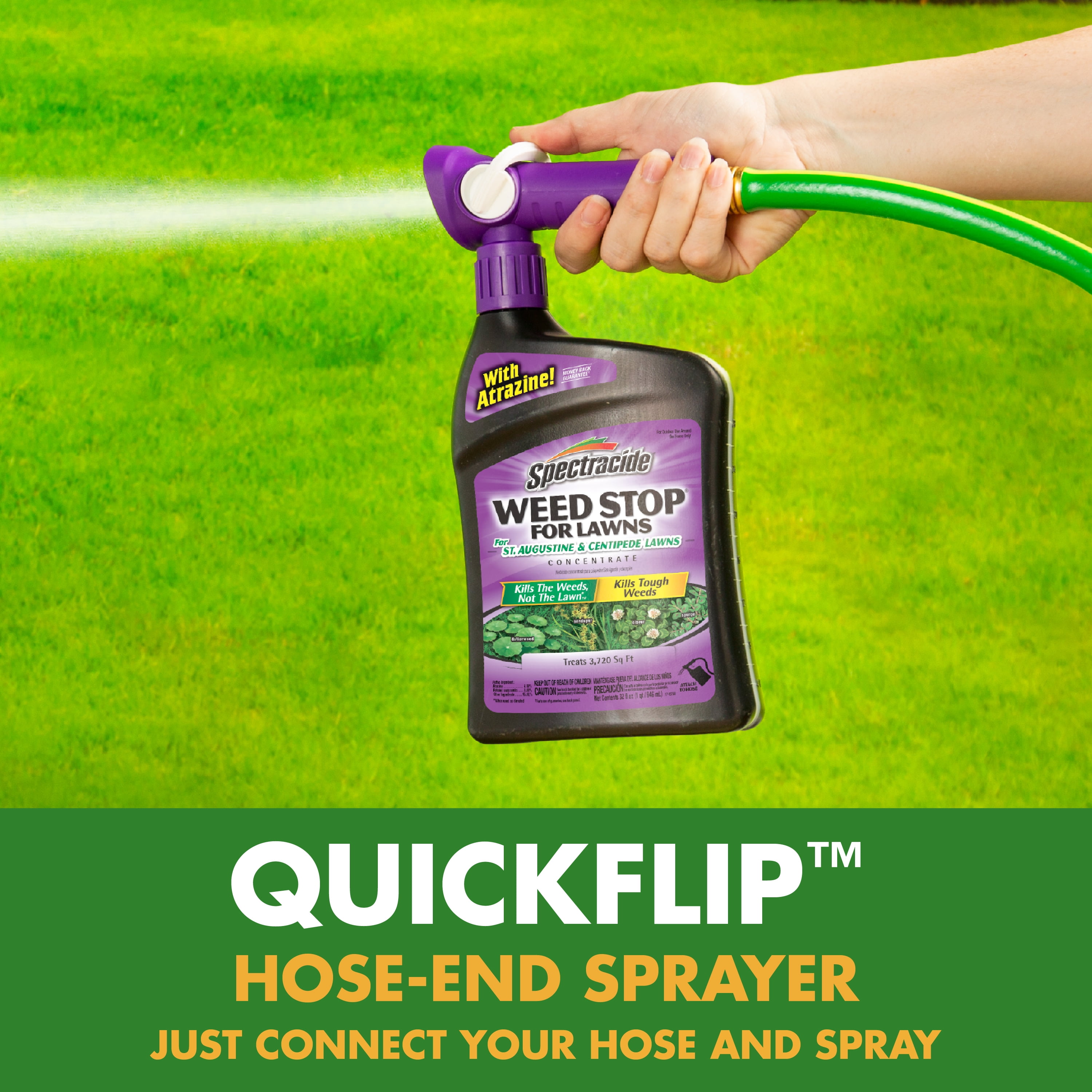 (2 pack) Spectracide Weed Stop For Lawns For St. Augustine & Centipede Lawns Concentrate, 32 Ounces