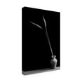 thumbnail image 3 of Canvas Wall Art - Kristina Oveckova 'Double' Wall Art for Living Room, Bedroom, or Office D?cor by Trademark Fine Art - 16 x 24 Inches, 3 of 4