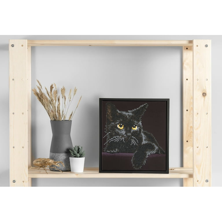 DMS Black Cat 5‘3 DIAMOND DOTZ® Black Cat Special Edition Diamond Painting Kit