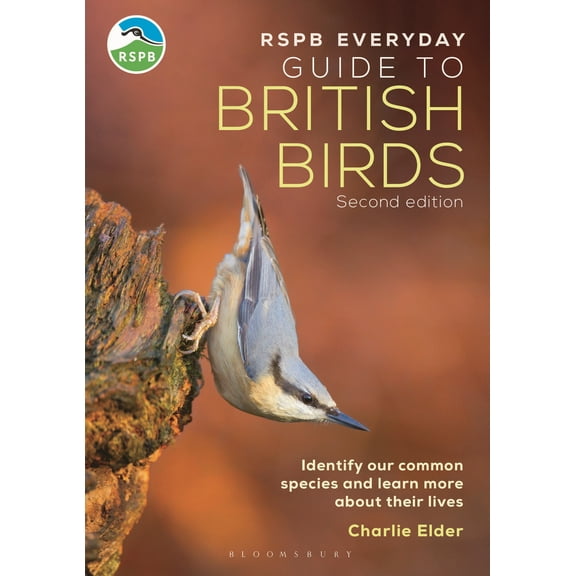 The RSPB Everyday Guide to British Birds : Identify our common species and learn more about their lives (Edition 2) (Paperback)