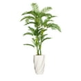 thumbnail image 1 of Vintage Home Artificial Real Touch 7.67 Feet Palm Tree With Fiberstone Planter, 1 of 1