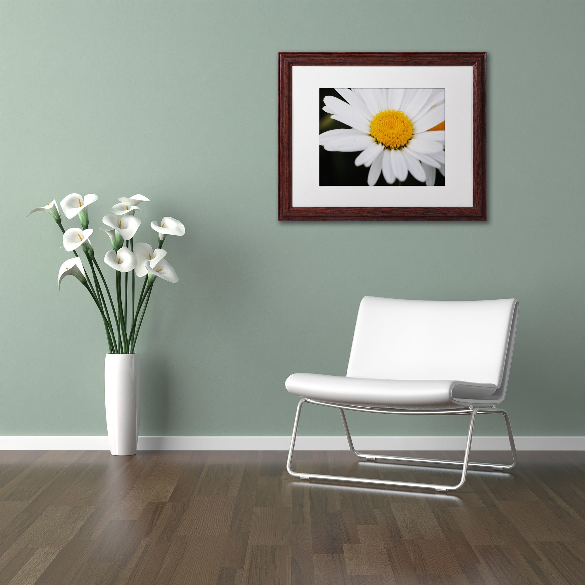 Trademark Fine Art "Sweet Splendor" Canvas Art by Monica Mize, White Matte, Wood Frame
