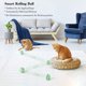thumbnail image 2 of Pelota interactiva de juguete para gatos con luz LED, bola giratoria automática de 360 ​​grados, juguete interactivo para gatos recargable por USB, estimula el instinto de caza, juguete cazador interesante verde ER, 2 of 5