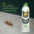 thumbnail image 6 of Raid Essentials Ant, Spider & Roach Killer Spray, 6 of 22