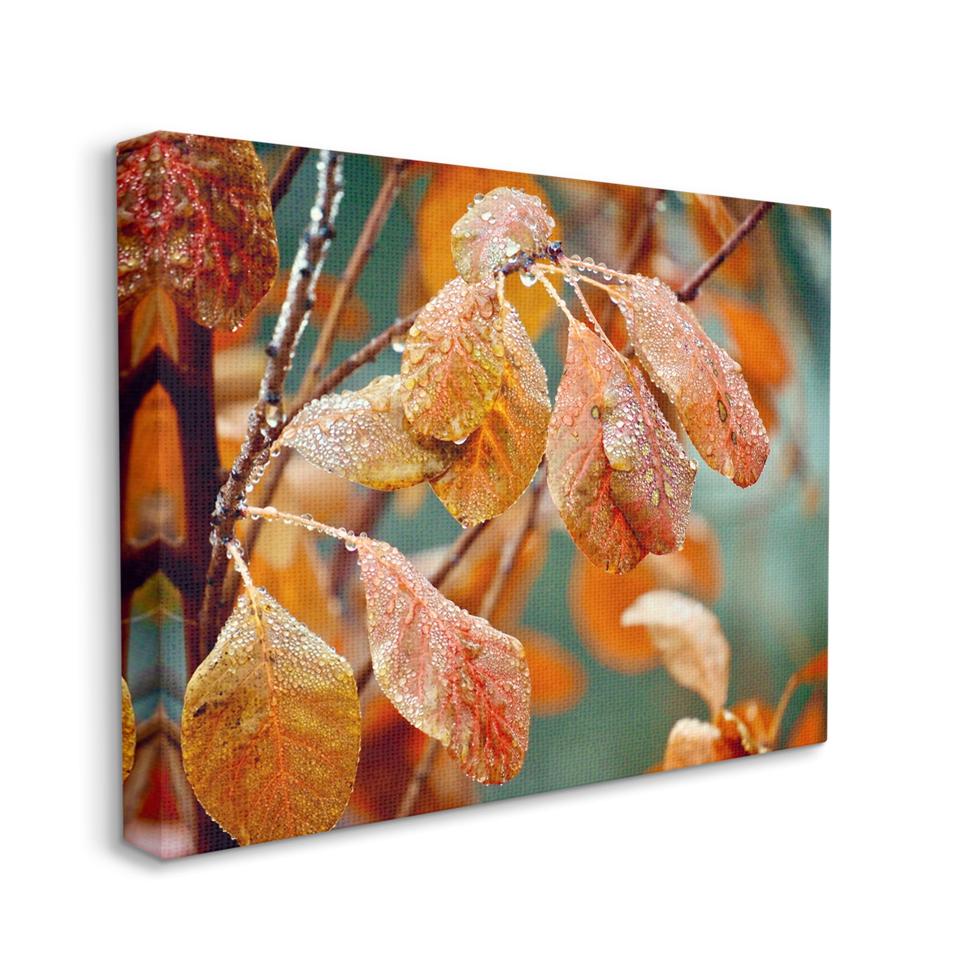 Stupell Industries Autumn Tree Leaves Water Droplets Fall Foliage Photograph Gallery Wrapped Canvas Print Wall Art, Design by Gail Peck