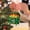Green, variant on WXLCISI Dumpster Fire 2024 Ornament Funny 2D Acrylic Dumpster Fire Christmas Tree Ornament Hilarious For Coworkers For Friends & Family (Acrylic)