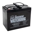 thumbnail image 3 of Batería de bomba de sumidero THE BASEMENT WATCHDOG modelo BW-27AGM, 3 of 5