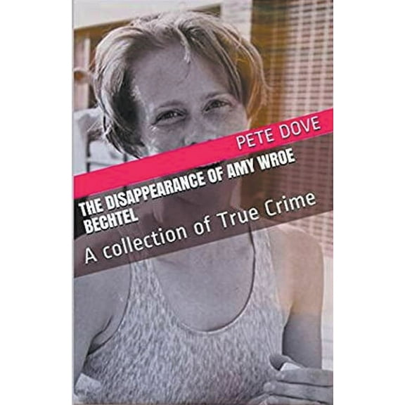 The Disappearance of Amy Wroe Bechtel, (Paperback)