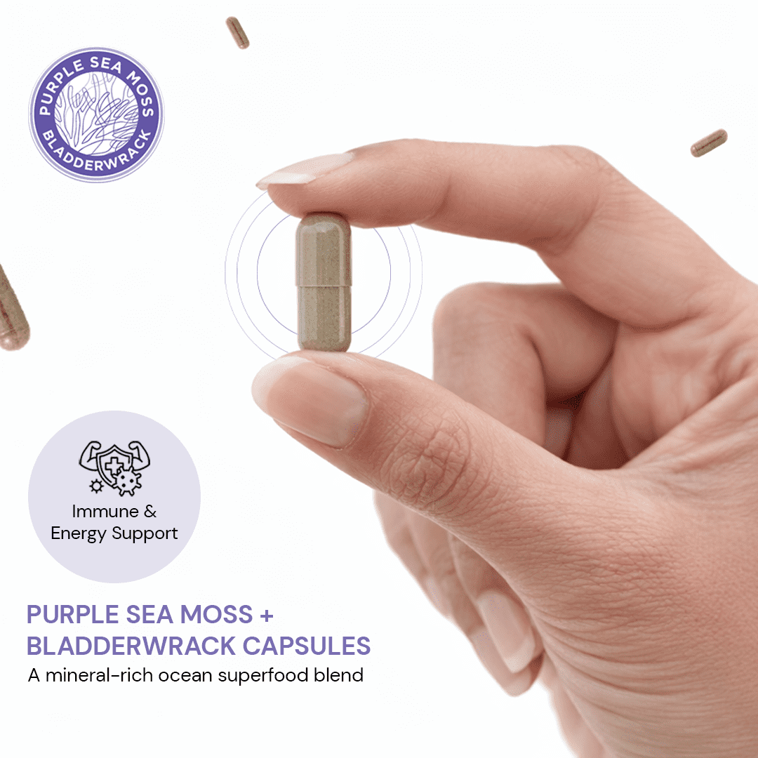 Purple Seamoss + Bladderwrack Seaweed Capsules - 2202mg Complete Nutrient Profile, Wildcrafted & Wildharvested, Made in the USA, Rich in Minerals, 60 ct