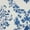 Ivory Navy, variant on Nourison Whimsicle Botanical Farmhouse Ivory Navy 7' x 10' Area Rug, (7' x 10')