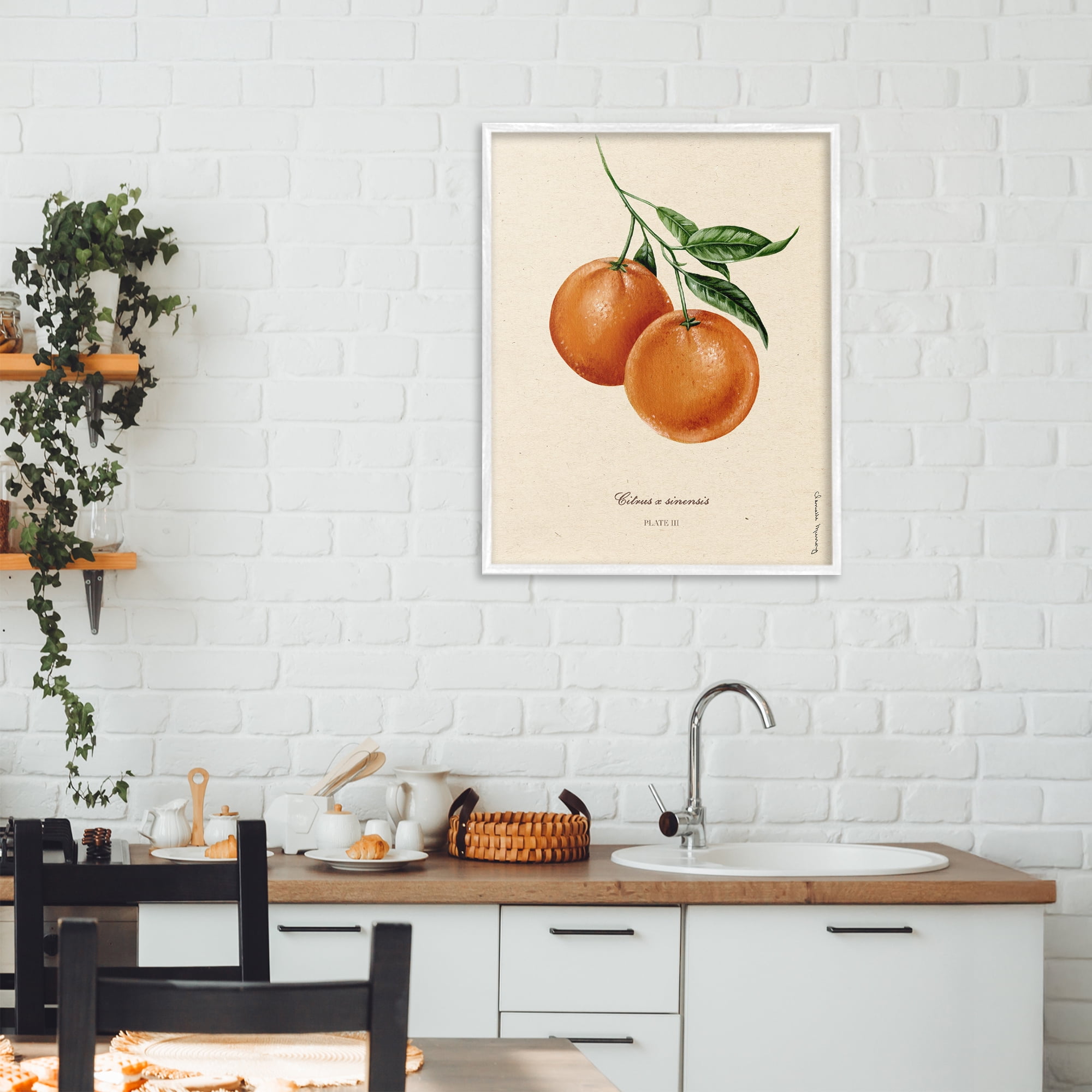 Stupell Industries Orange Fruit Portrait White Framed Giclee Art, design by Danielle Murray