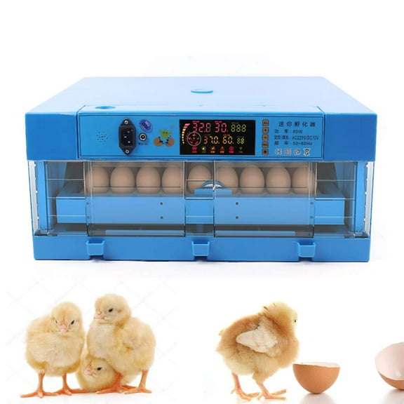 Miumaeov Egg Hatching Incubator, 64 Eggs Incubator with 360° Automatic Egg Turning and Humidity Control, Household Mini Egg Incubator for Chicken, Ducks, Birds