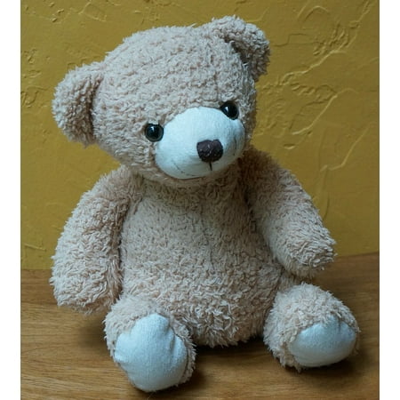 Canvas Print Stuffed Animal Cute Toy Old Teddy Bear Teddy Bear Stretched Canvas 10 x (Best Toys For 14 Month Old)