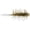 AYU, variant on Hideup Big Coike Shrimp 100mm Creature Bait (4 Pk)