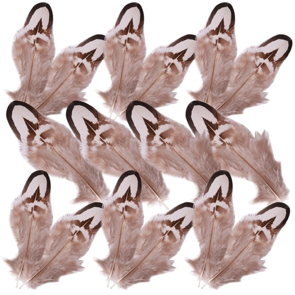 OUNONA 50Pcs Brown Plumes for Craft Decorations and DIY Projects with Real