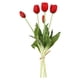 thumbnail image 1 of Cateissary 15 Uds. Gel de sílice tacto Real ramo de látex bajo mantenimiento aspecto realista versátil elegante Decoración rojo, 1 of 6