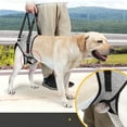 thumbnail image 4 of Dog Sling Polyester Fiber No Obstacle to Defecation Comfortable Adjustable Effective Assistance, 4 of 8