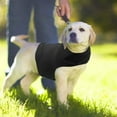 thumbnail image 3 of Dog Anxiety Jacket Stress Calming Coat Adjustable Calming Vest For Travel Dark Gray M for Dogs, 3 of 5
