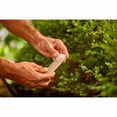 thumbnail image 3 of Miracle-Gro® Tree & Shrub Plant Food Spikes 15-5-10, 3 of 5